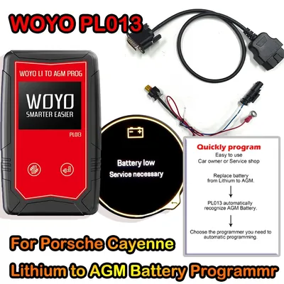 2025 Woyo Pl013 And Pro Version For Porsche Cayenne To Lithium Battery One-button Programmer One-time Unlimited Times Auto Tool