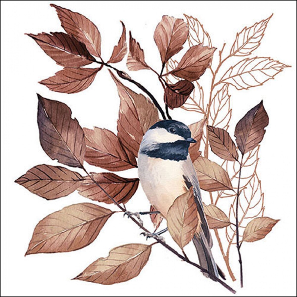 Card image cap