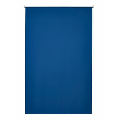 Seitenzugrollo GOOD LIFE "Amelie" Gr. 10, blau (blau, silberfarben), B:182cm H:180cm, Polyester, Rollos, 1 Stück Image