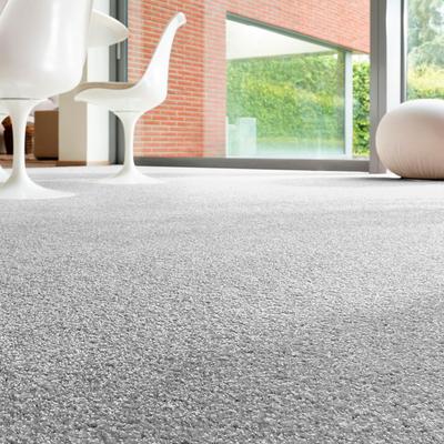 Teppichboden ANDIAMO "Rubinoy, Schlinge, Made in Belgium", silber, B:500cm H:8,5mm L:1200cm, Kunstfaser, Teppiche, Breite 400 cm oder 500 cm, Wohnzimmer, strapazierfähig & robust Image