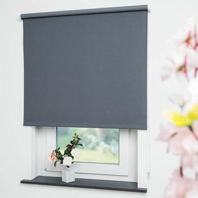 Seitenzugrollo LIEDECO "Uni" Gr. 11, grau (dunkelgrau), B:92cm H:240cm, Polyester, Rollos Image