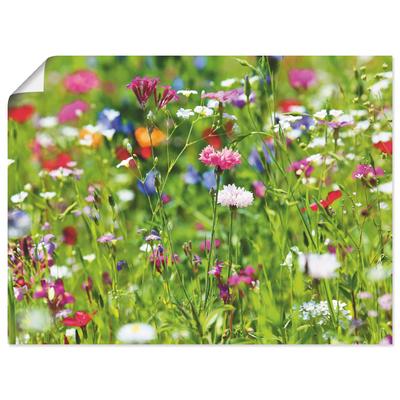 Wandbild ARTLAND "Blumenwiese I", grün (farbe bild(er): grün), B:80cm H:60cm, Papier, Bilder, als Leinwandbild, Poster in verschied. Größen Image