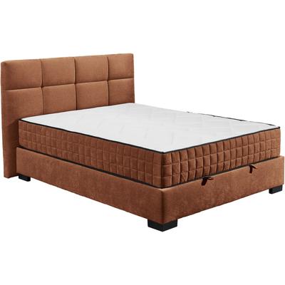 Boxbett ED EXCITING DESIGN "Nagol", braun (cognac), B:145cm L:214cm, 100% Polyester, Komplettbetten, mit Bettkasten, mit Wendematratze, erhältlich in verschiedenen Breiten Image