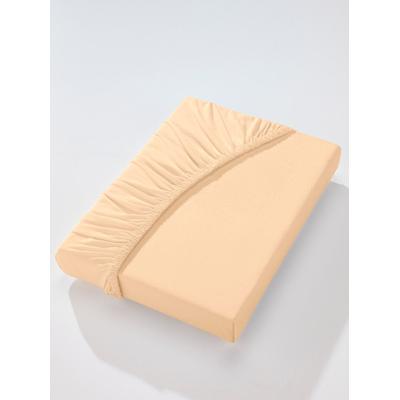 Betttuch BIBERNA Gr. 3, beige, B:140-160cm L:200-220cm, Jersey, 97% Baumwolle, 3% Elasthan, Laken Image