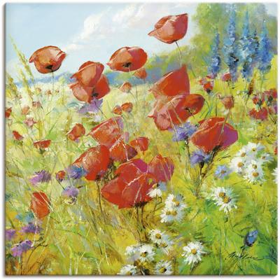 Wandbild ARTLAND "Sommerwiese mit Mohnblumen", bunt (farbe bild(er): bunt), B:40cm H:40cm, Bilder, als Alubild, Outdoorbild, Leinwandbild, Poster in verschied. Größen Image