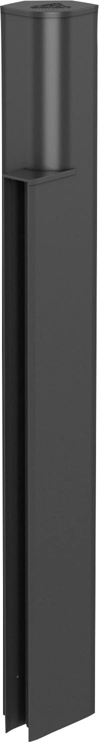 Stützelement BIOHORT "DaVinci", grau (dunkelgrau, metallic), B:10,5cm H:77cm T:7,2cm, Stahlblech, Stützelemente, Höhensprung für Hochbeet DaVinci MAXI-MIDI Image