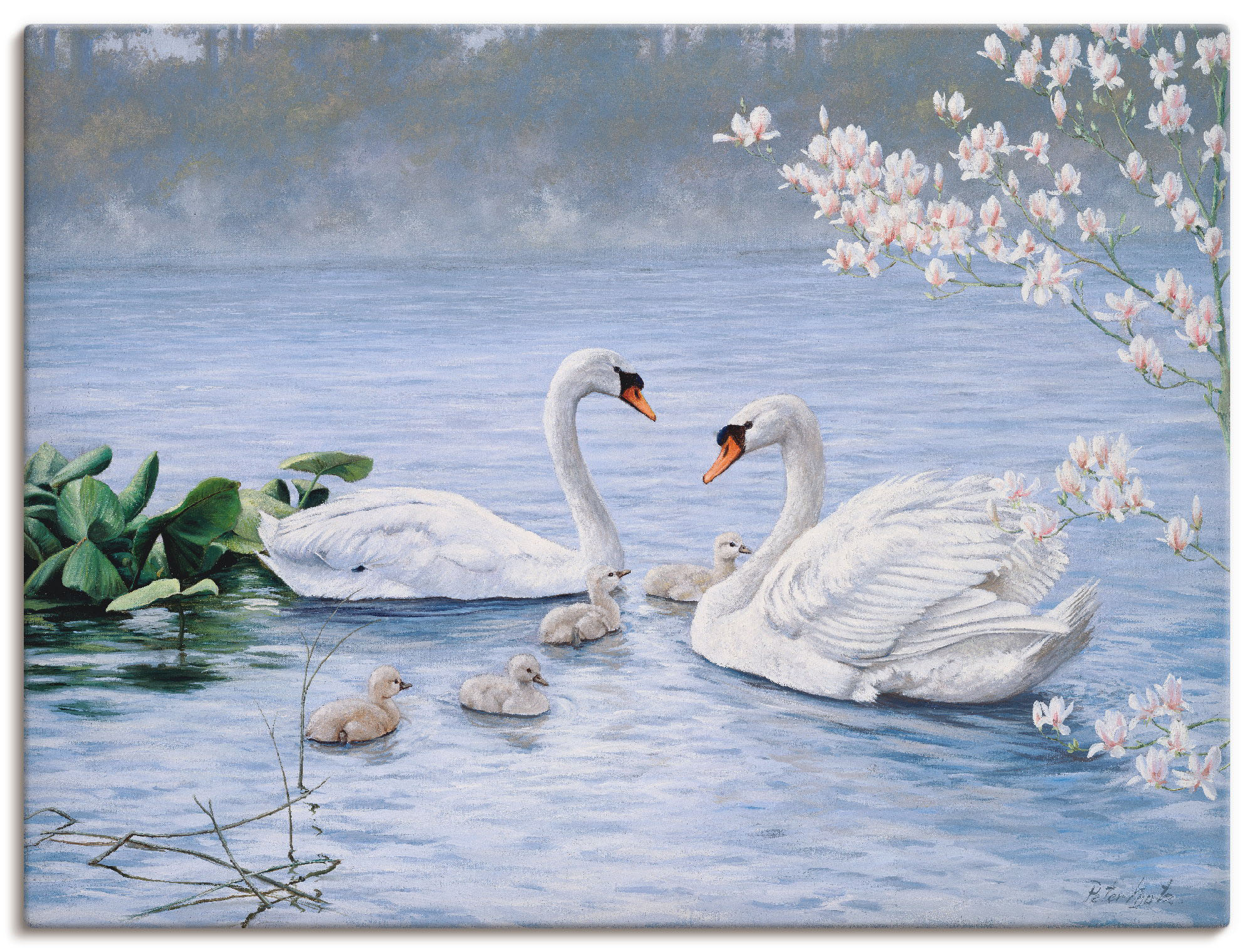 Leinwandbild ARTLAND "Stolze Schwanenfamilie", weiß (farbe bild(er): weiß), B:40cm H:30cm, Canvas, Leinwand, Bilder, auf Keilrahmen gespannt Image