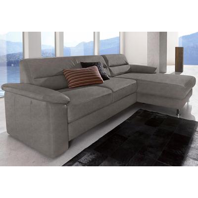 Ecksofa SIT & MORE "Top Ascara L-Form", grau, B:251cm H:85cm T:165cm, NaturLeder, Luxus-Microfaser (100% Polyester), Sofas, inklusive Boxspring/Federkern-Polsterung, komfortablem Federkern Image