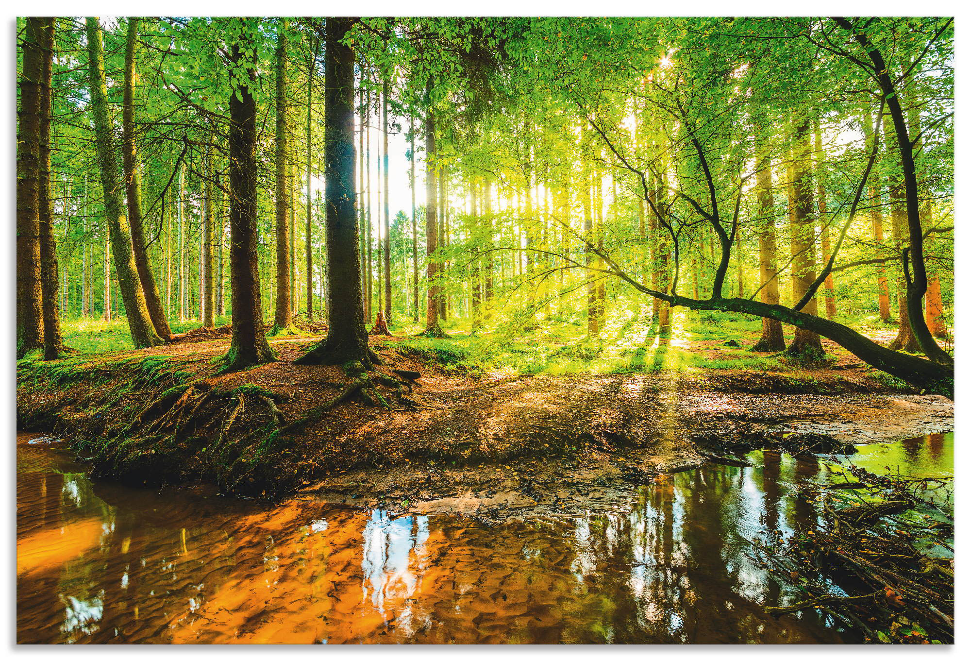 Wandbild ARTLAND "Wald mit Bach", grün (farbe bild(er): grün), B:90cm H:60cm, Bilder, als Alubild, Outdoorbild, Leinwandbild, Poster, Wandaufkleber Image