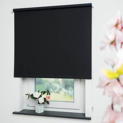 Seitenzugrollo LIEDECO "Uni" Gr. 10, schwarz, B:202cm H:180cm, Polyester, Rollos Image