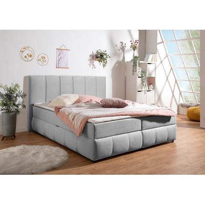 Boxbett INOSIGN "Hartley", grau, B:172cm L:210cm, Komplettbetten, Inkl. Bettkasten & Topper, wählbar in H2, H3 o. H4, Topseller Image