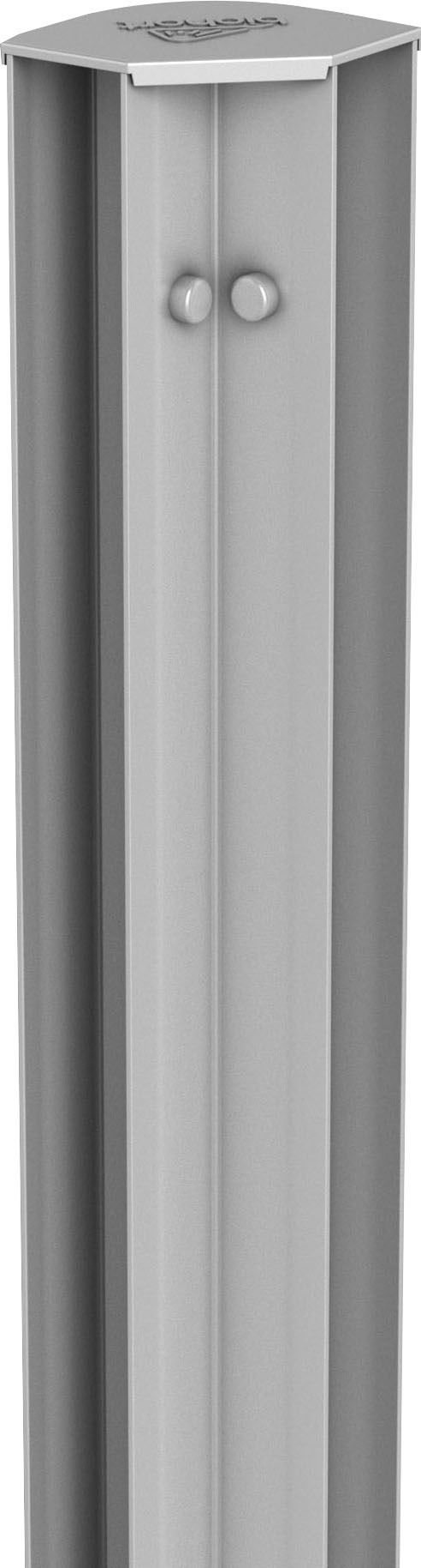 Eckprofil BIOHORT, silber (silberfarben), B:7,2cm H:61cm L:7,2cm, Aluminium, Profile, für Hochbeet DaVinci MIDI Image