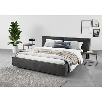 Polsterbett INOSIGN "Adrina mit Biesenoptik, Feincord und Luxus-Microfaser", grau (anthrazit), B:182cm H:91cm L:250cm, 95% Polyester, 5% Nylon, Betten, bis 280kg, auch in Überlänge 220 cm, 4 Breiten bis 200cm Image