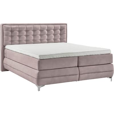 Boxspringbett MUSTERRING "Dubai", lila (d 531 flieder), B:217cm L:214cm, Komplettbetten, Boxspringbett, Winkelfuß in Chrom, 3 Härtegrade, Kopfteil in Kassettensteppung Image