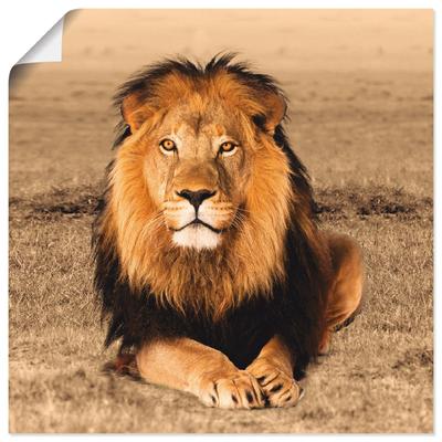 Wandbild ARTLAND "Löwe", braun (farbe bild(er): braun), B:50cm H:50cm, Bilder, als Alubild, Outdoorbild, Leinwandbild, Poster, Wandaufkleber Image