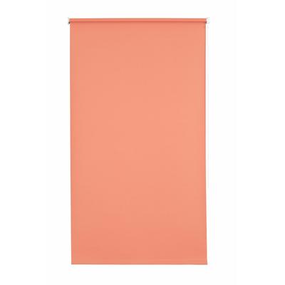 Seitenzugrollo SUNLINES "Uni" Gr. 1, orange (terra), B:62cm H:180cm, Polyester, Rollos, 1 Stück Image