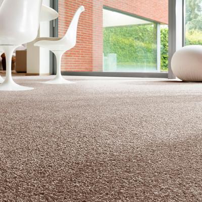 Teppichboden ANDIAMO "Rubinoy, Schlinge, Made in Belgium", braun, B:500cm H:8,5mm L:600cm, Kunstfaser, Teppiche, Breite 400 cm oder 500 cm, Wohnzimmer, strapazierfähig & robust Image