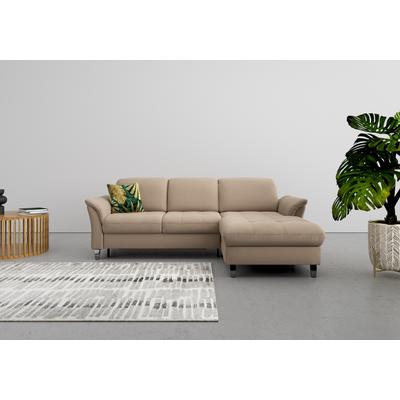Ecksofa SIT & MORE "Maggiore L-Form", grau (taupe), B:258cm T:173cm, 98% Polyester, 2% Polyamid, Sofas, wahlweise mit Kopfteilverstellung, Bettfunktion und Bettkasten Image