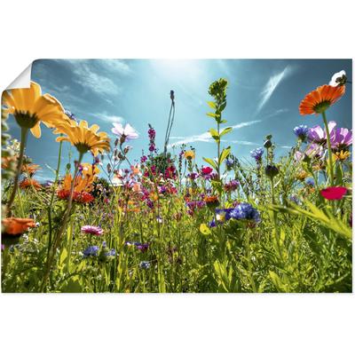 Wandbild ARTLAND "Buntes Blumenfeld", bunt (farbe bild(er): bunt), B:60cm H:40cm, Bilder, als Alubild, Outdoorbild, Leinwandbild, Poster, Wandaufkleber Image
