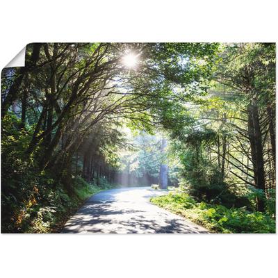 Wandbild ARTLAND "Sonniger Wald", grün (farbe bild(er): grün), B:70cm H:50cm, Bilder, als Alubild, Outdoorbild, Leinwandbild, Poster in verschied. Größen Image