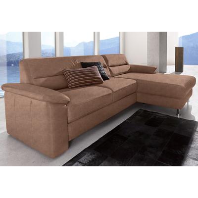Ecksofa SIT & MORE "Top Ascara L-Form", braun, B:251cm H:85cm T:165cm, NaturLeder, Luxus-Microfaser (100% Polyester), Sofas, inklusive Boxspring/Federkern-Polsterung, komfortablem Federkern Image