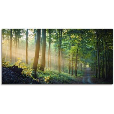 Wandbild ARTLAND "Herbstmorgen im Wald", grün (farbe bild(er): grün), B:100cm H:50cm, Bilder, als Alubild, Outdoorbild, Leinwandbild, Poster in verschied. Größen Image