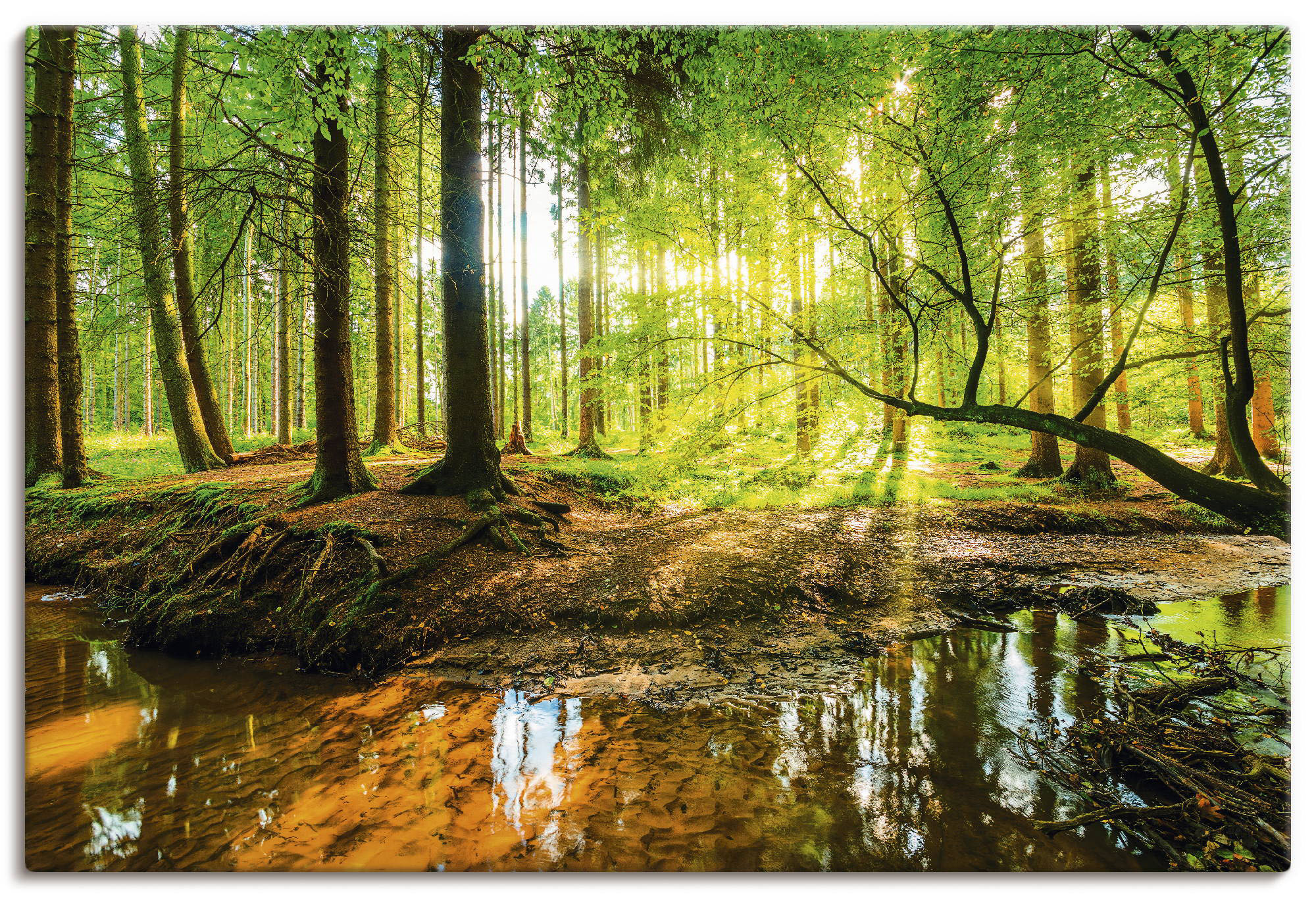 Wandbild ARTLAND "Wald mit Bach", grün (farbe bild(er): grün), B:90cm H:60cm, Bilder, als Alubild, Outdoorbild, Leinwandbild, Poster, Wandaufkleber Image