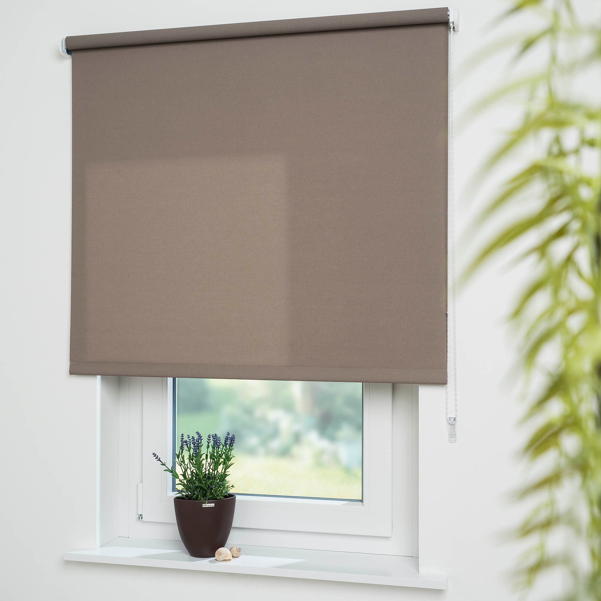 Seitenzugrollo LIEDECO "Uni" Gr. 14, braun (kaffee), B:152cm H:180cm, Polyester, Rollos, Montage ohne Bohren zum Klemmen mit separatem Klemmträger möglich Image