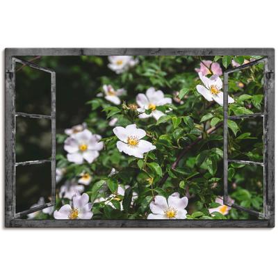 Leinwandbild ARTLAND "Fensterblick - Wildrosen", weiß (farbe bild(er): weiß), B:90cm H:60cm T:1,8cm, Canvas, Leinwand, Bilder, auf Keilrahmen gespannt Image