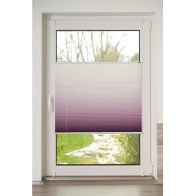 Plissee K-HOME "Farbverlauf Sunrise" Gr. 26, rot (bordeaux, weiß), B:105cm H:130cm, Obermaterial: 100% Polyester, Plissees Image