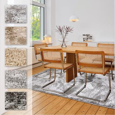 Hochflor-Teppich ASTRA "Paulie 250", silber (silberfarben), B:120cm H:25mm L:180cm, Polypropylen, Teppiche, weicher Langflor, Shaggy, Wohnzimmer, Schlafzimmer Image