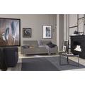 3-Sitzer "CR.450, Designsofa, Loungesofa", beige (beigegrau 534, 26), B:204cm H:85cm T:95cm, Jacquard-Flachgewebe Diane 1 Q2 (55% Polyacryl 45% Polyester), CREATION BY ROLF BENZ, Sofas, Armlehne niedrig, Fuß chromfarben glänzend, Breite 204 cm