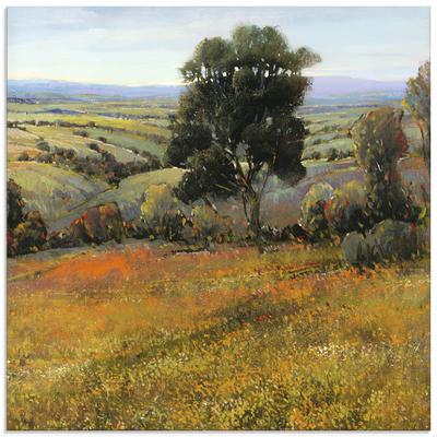 Glasbild ARTLAND "Feld im Sommer", braun (farbe bild(er): braun), B:50cm H:50cm, Bilder, in verschiedenen Größen Image