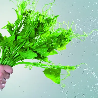 Centrifugal Industrial Food Dehydrator/Lettuce Dehydrator Machine/Vegetable Dryer Machine