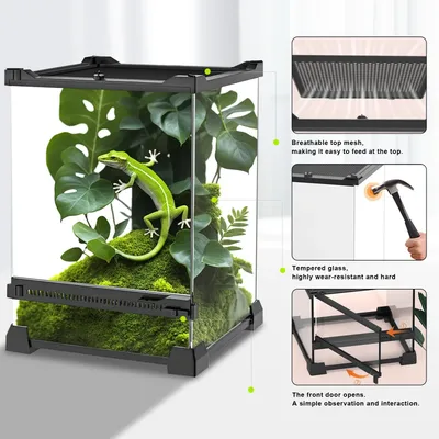Large Reptile kennel Tempered Glass Turtle Terrarium Transparent Breeding Box Lizard Supplies Amphibious Habitat Rainforest Tank