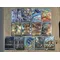 Anime Card Wigglytuff Giratina Sprigatito Tinkaton Clodsire Bibarel Pawmot Collezione di hobby Trainer fai da te Flash Texture Card