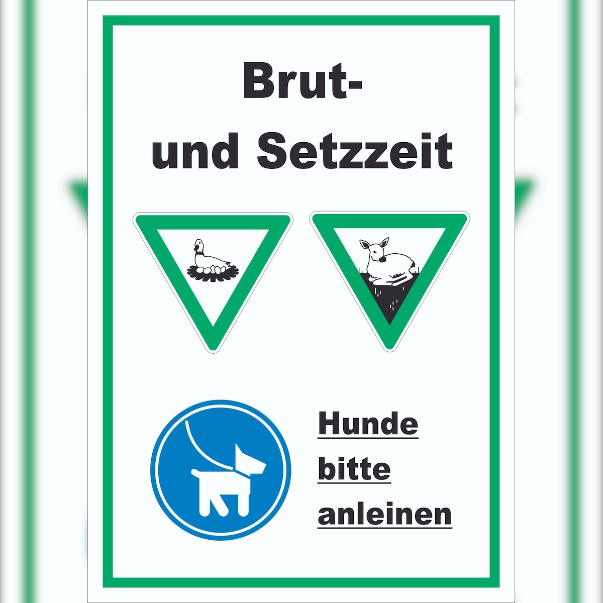 HB-Druck Brut- und Setzzeit Hund anleinen hochkant Schild A2 (420x594mm) Image