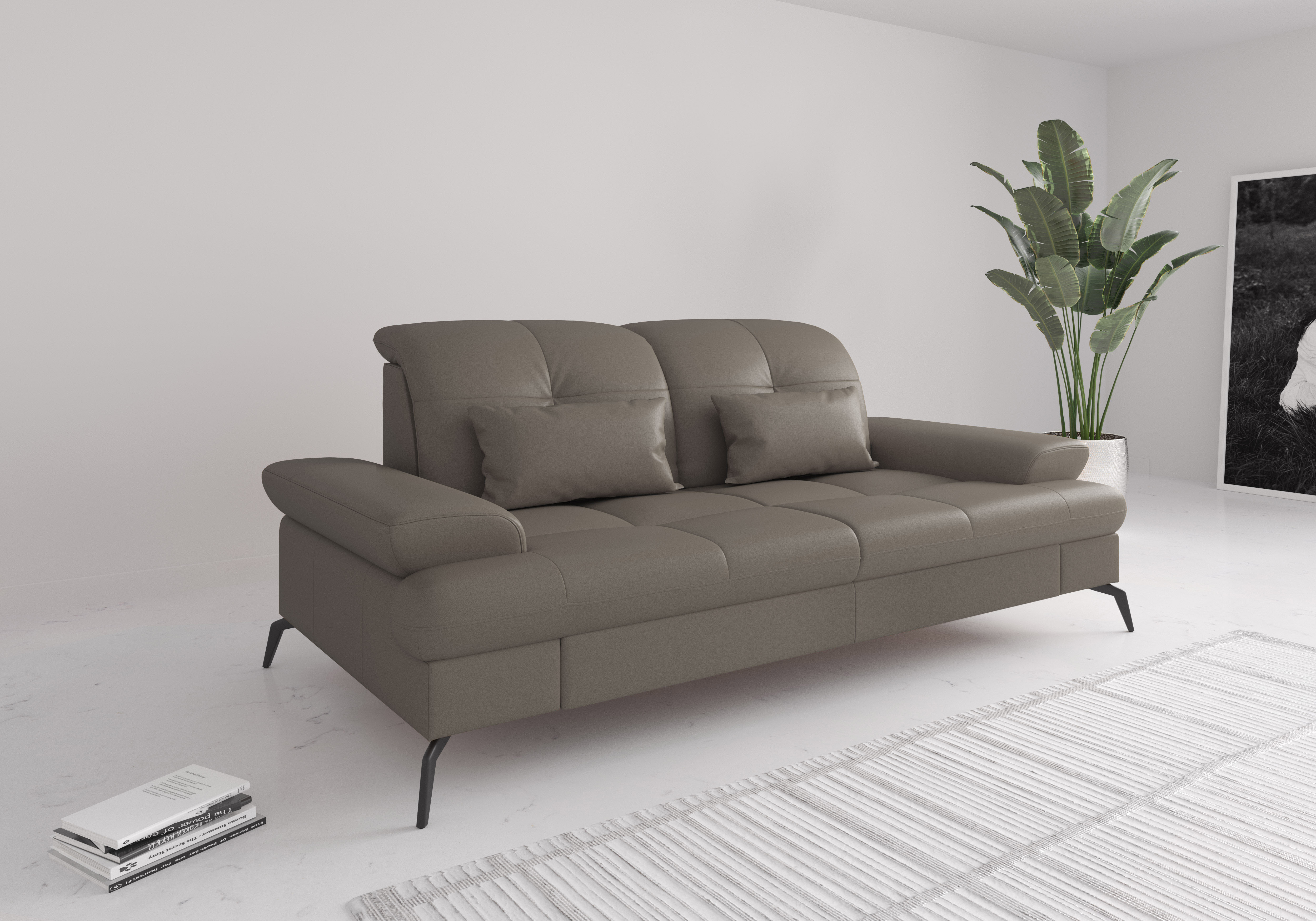 2,5-Sitzer SIT & MORE "Amica, inkl. Sitztiefenverstellung und Armteilverstellung", delphine, B:202cm H:90cm T:122cm, Sofas, wahlweise mit Kopfteilverstellung und Bettfunktion