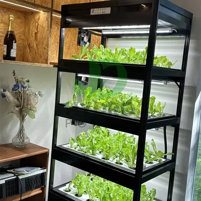 Indoor Home Smart Led Aquaponics Cabinet Herb Garden Intelligente Microgreens Aeroponic Vertical Hydroponic Kit Growing System