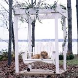 Uwharrie Chair Fanback Porch Swing Wood in Green | Wayfair 4052-021-Distressed