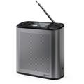 Sharp - DR-P530(GY) Osaka portatile, Dab+, Dab e fm Radio digitale con rds, Bluetooth 5.3, Display