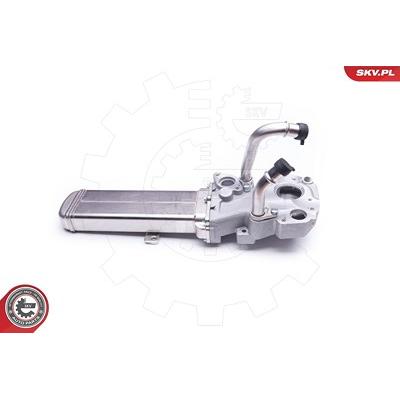 Esen Skv AGR-Ventil [Hersteller-Nr. 14SKV137] für VW Image