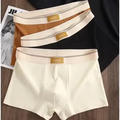 3Pcs männer Unterwäsche Hombre Höschen Boxershorts Atmungsaktivem Baumwolle Unterwäsche Sexy Unterwäsche Einfarbig Boxer Shorts Image