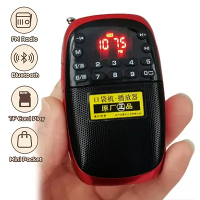 Portable FM Radio Bluetooth Speaker Mini MP3 Music Player Recorder With LED Display Support Handsfree TF Card Internal Recording