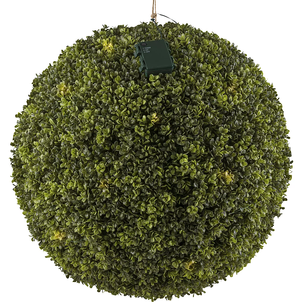 Boule de buis - kaiserkraft