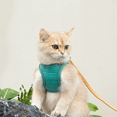 Cat Harness And Leash For Walking | Adjustable Kitten Escape Proof Harnesses | Luminous Cat Harness & Leash Set Green L