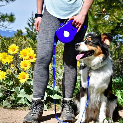 4 in 1 Dog Retractable Leash Belt 4 in 1 Dog Retractable Leash Belt Blue