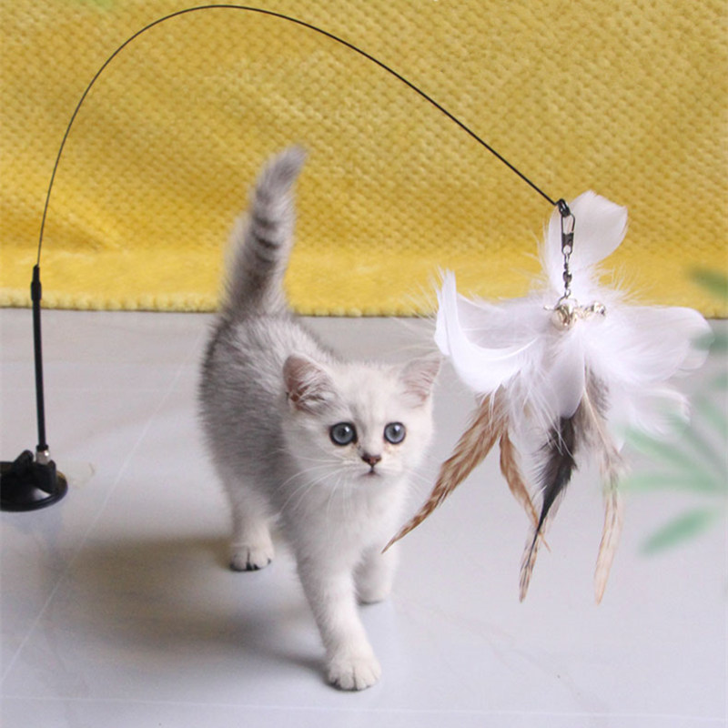 Interactive Cat Toy With Feather And Bite Resistant Design | Fun Sucker Stick Toy For Cats | Pet Supplies Black