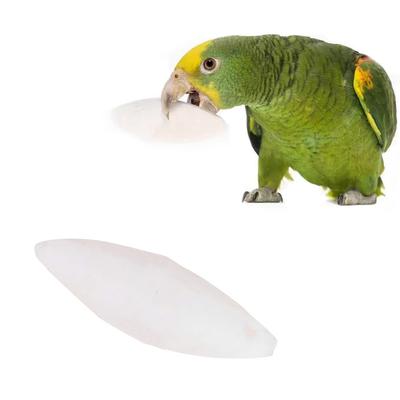 Cuttlefish Bone Pet Toy: Hanging Bell Perch For Parrots & Hamsters Calcium Supplement & Molar Chewing Bird Food For 2PCS