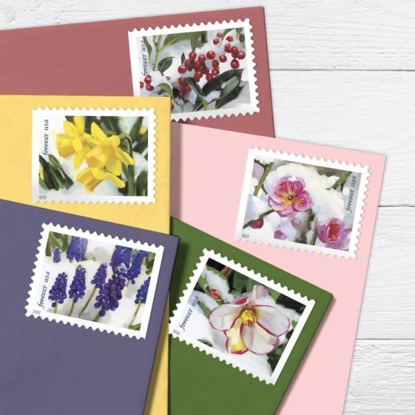 Snowy Beauty 2022 USPS Stamps All Brand New Forever Stamps 100 Unused US Forever First Class Postage Stamps 100 Pcs